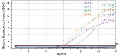 Development and preliminary application of a quadruplex real-time PCR assay for differential detection of porcine circovirus 1–4 in Chengdu, China